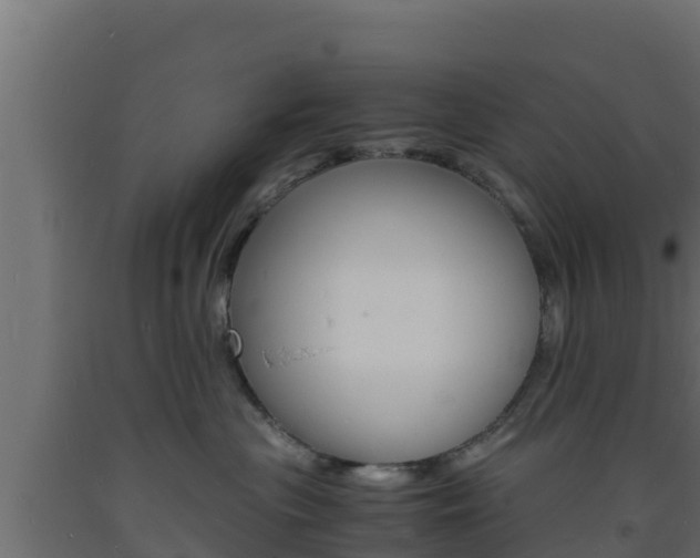 X0000093730477200710160818