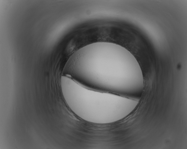 X0000093730479200710160818