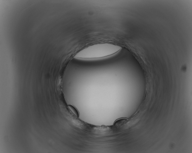X0000093730480200710160818