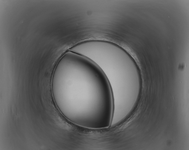 X0000093730481200710160817