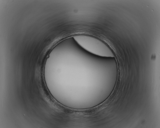X0000093730482200710160817