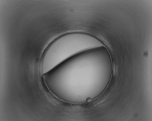 X0000093730483200710160817