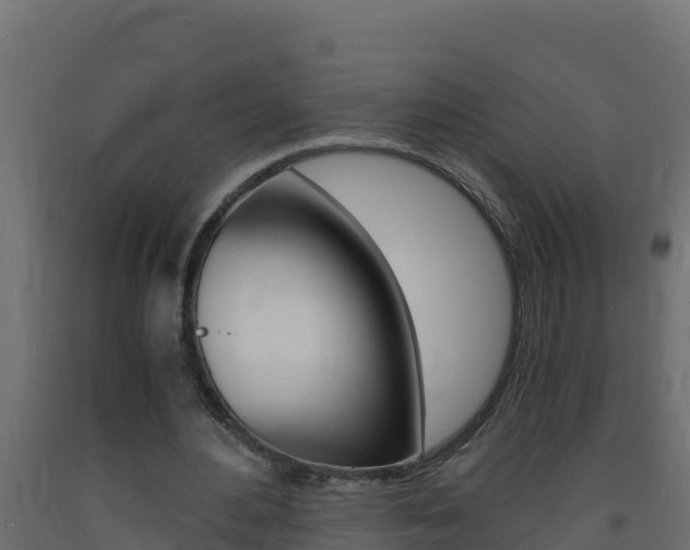 X0000093730484200710160817