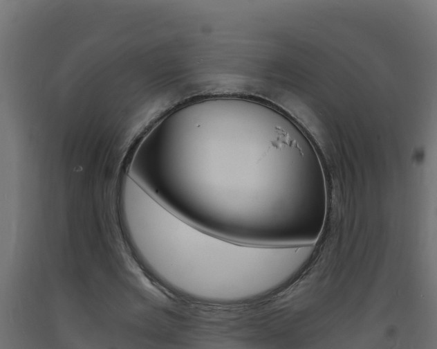 X0000093730485200710160817