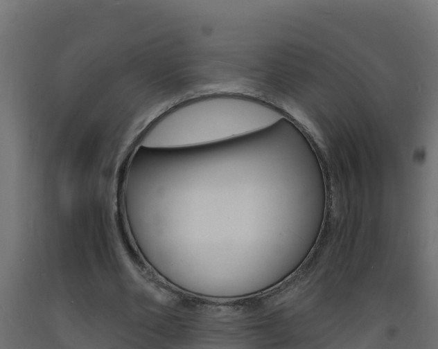 X0000093730486200710160817
