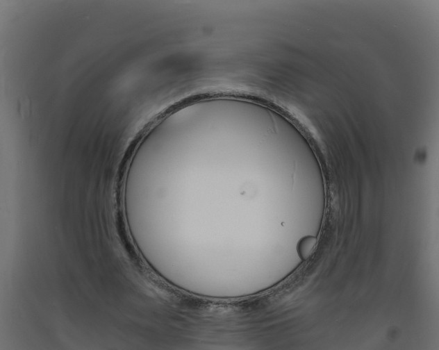 X0000093730487200710160817