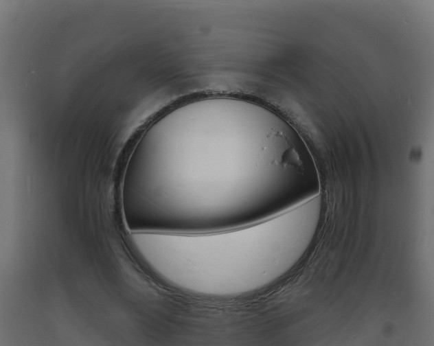 X0000093730488200710160817