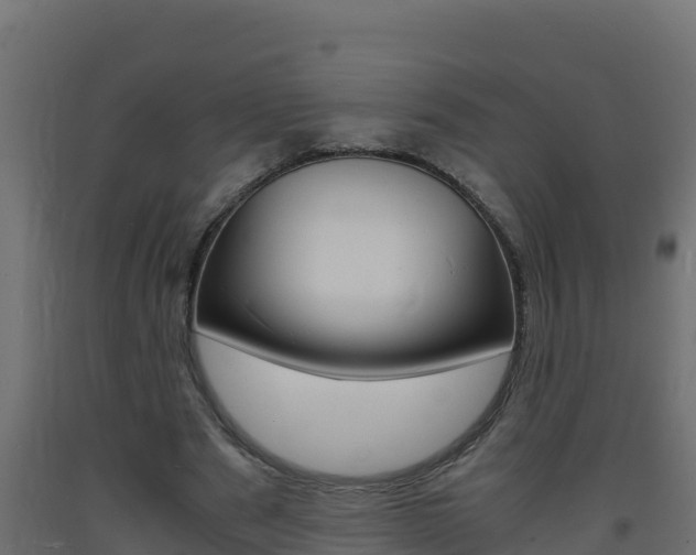 X0000093730489200710160817