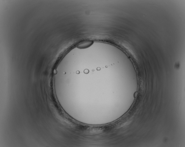 X0000093730491200710160817