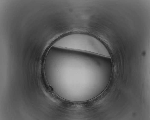 X0000093730492200710160817