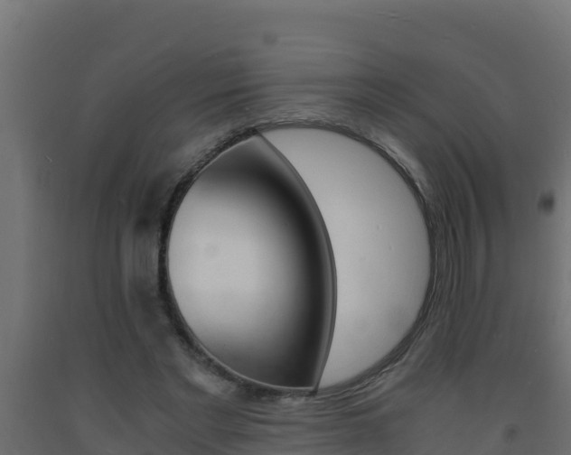 X0000093730493200710160817