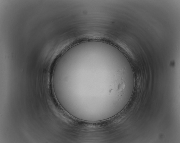 X0000093730494200710160817