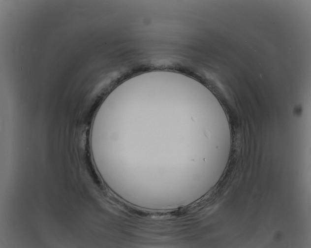 X0000093730495200710160817