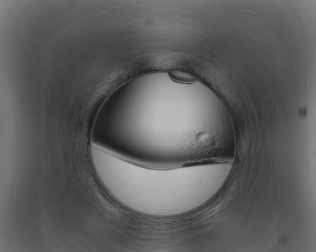 X0000093730497200710160817