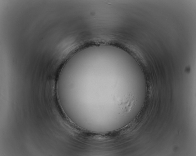 X0000093730498200710160817