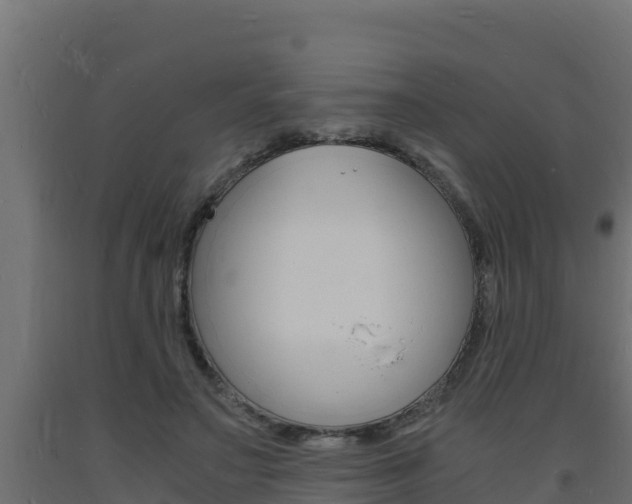 X0000093730499200710160817