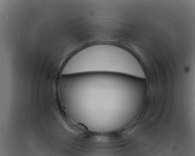 X0000093730500200710160817