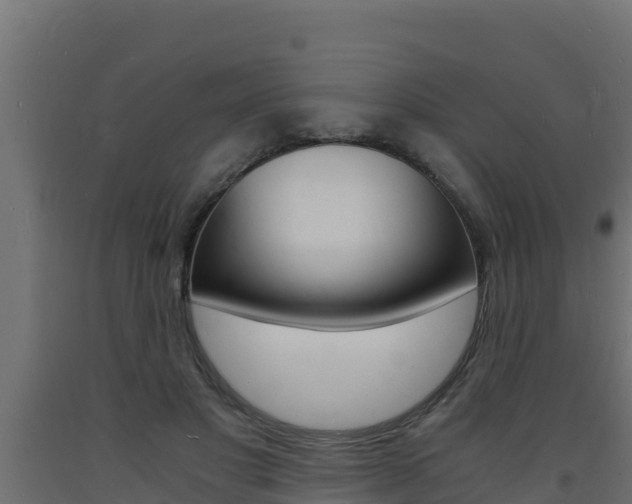 X0000093730501200710160817