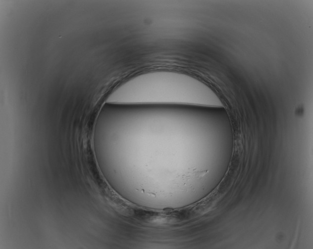 X0000093730504200710160817