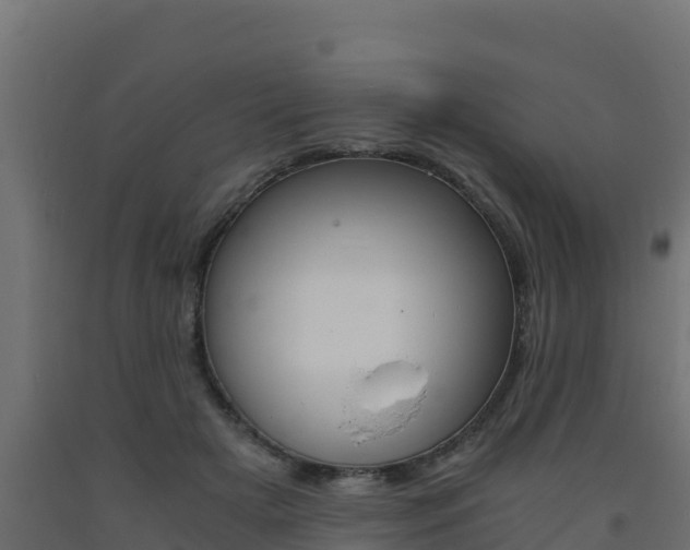 X0000093730505200710160817