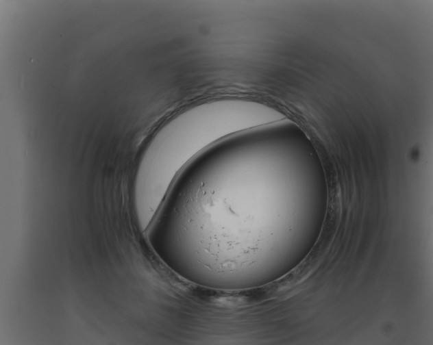 X0000093730508200710160817