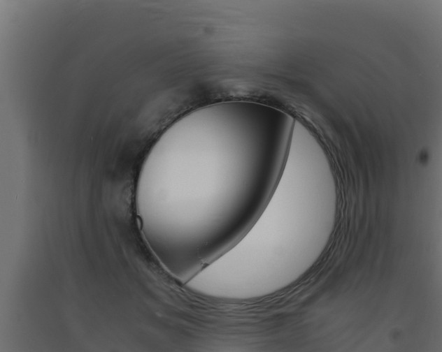 X0000093730509200710160817