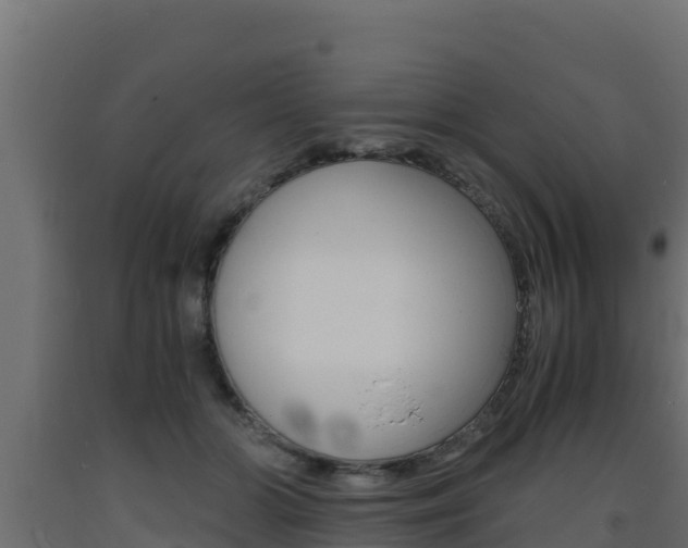 X0000093730510200710160817