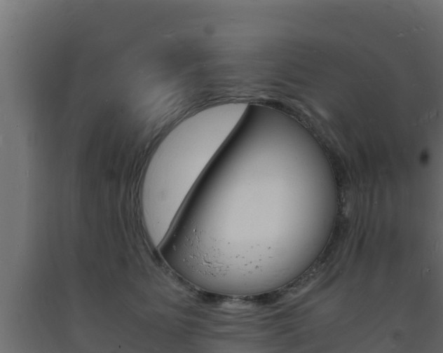 X0000093730515200710160816