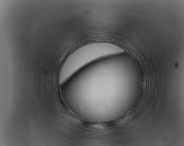 X0000093730516200710160816