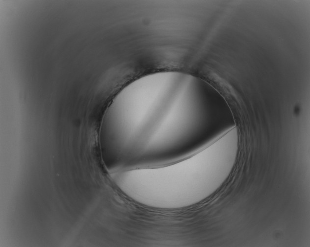 X0000093730517200710160816