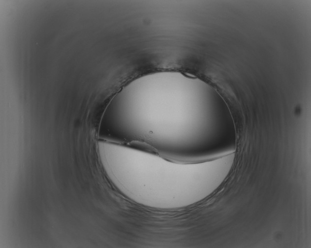 X0000093730521200710160816