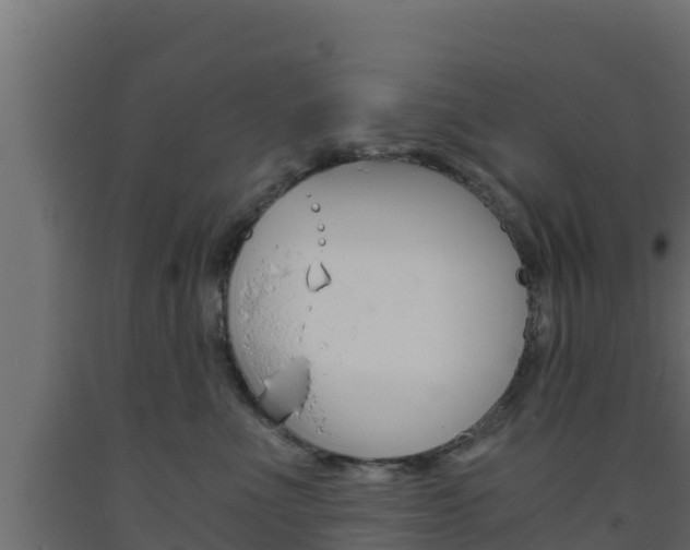 X0000093730523200710160816