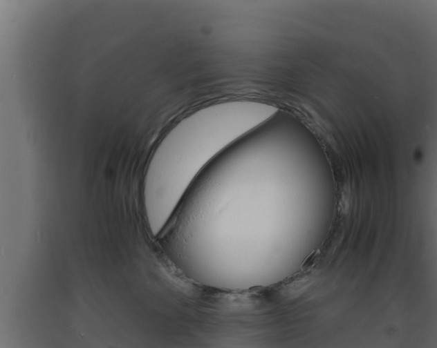X0000093730524200710160816