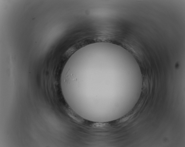 X0000093730526200710160816