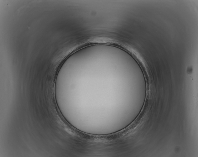 X0000093730529200710160816