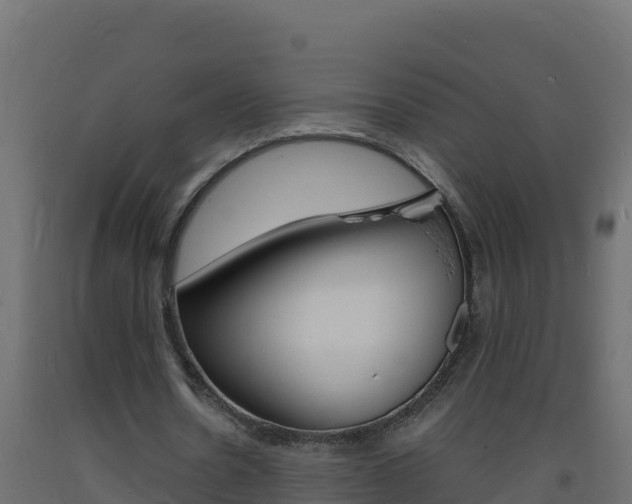 X0000093730530200710160816