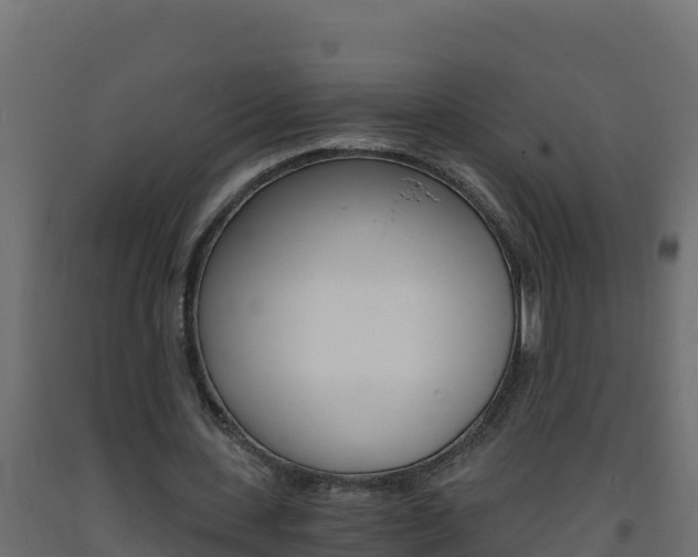 X0000093730531200710160816