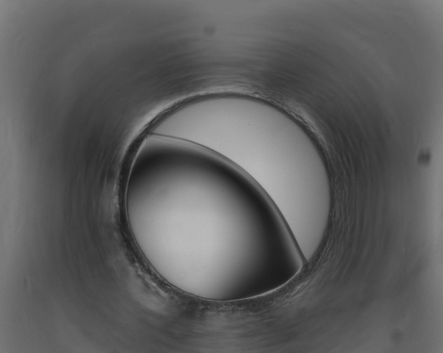 X0000093730532200710160816