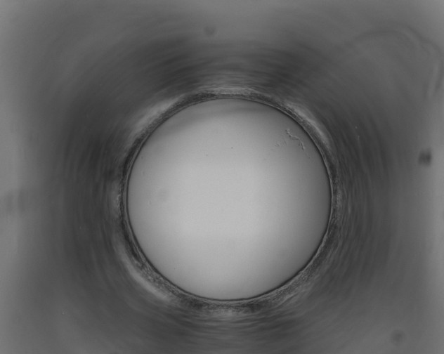 X0000093730533200710160816