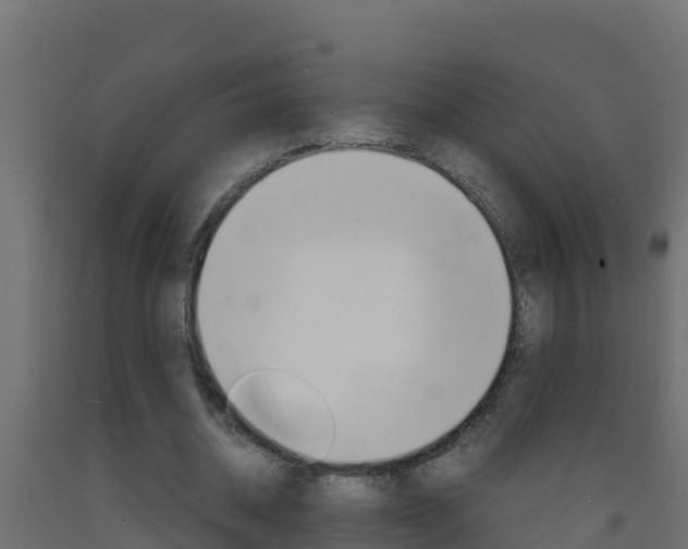 X0000093730534200710160816