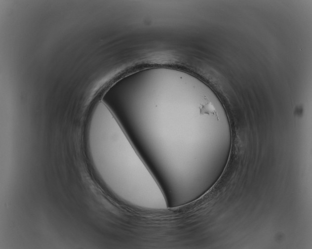 X0000093730535200710160816