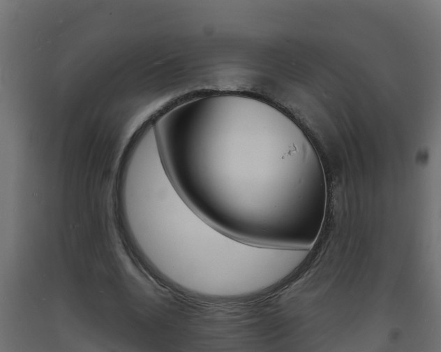X0000093730536200710160816