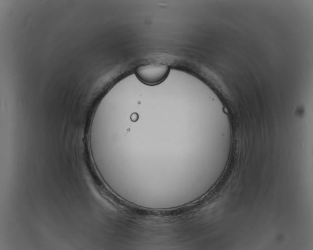 X0000093730538200710160816