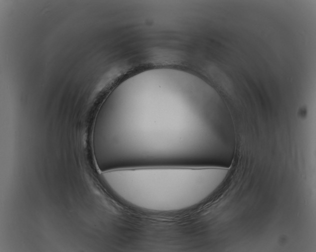 X0000093730539200710160816
