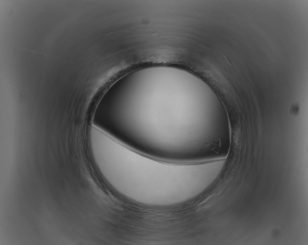 X0000093730540200710160816