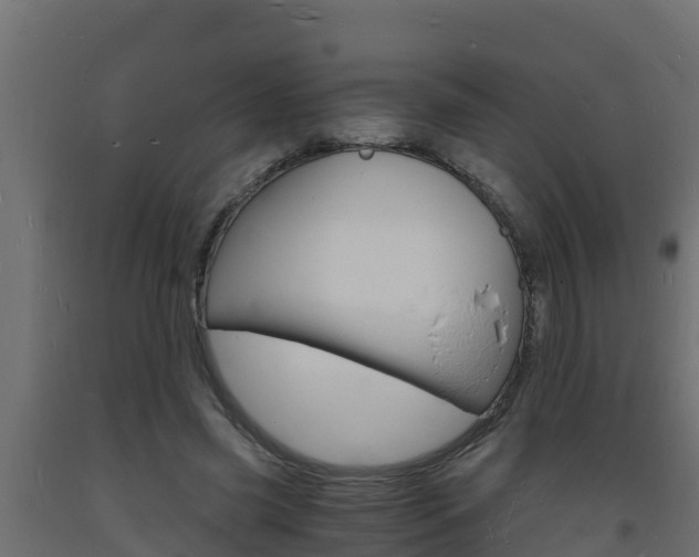 X0000093730541200710160816