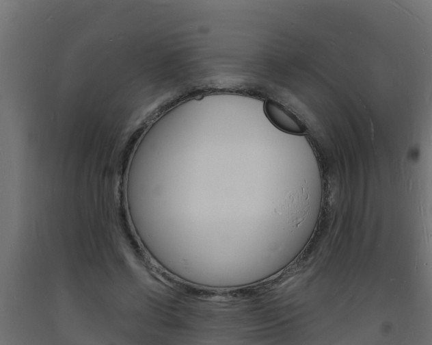 X0000093730542200710160816