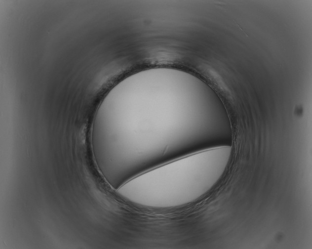X0000093730543200710160816