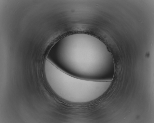 X0000093730544200710160816