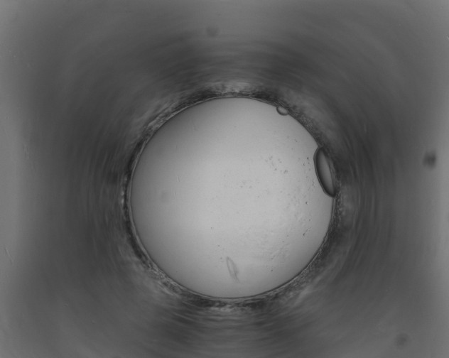 X0000093730545200710160816